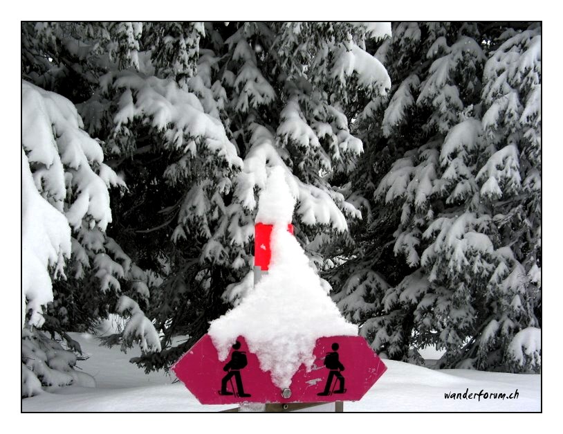 winterwanderung-schneeschuhe-vorratshaltung-wanderforum-schweiz